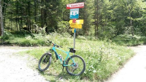Hostal G�stehaus Am Walde - Familie Troller
