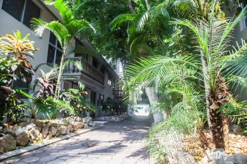 Hotel Suites La Fragua