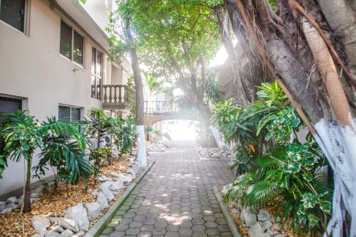Hotel Suites La Fragua
