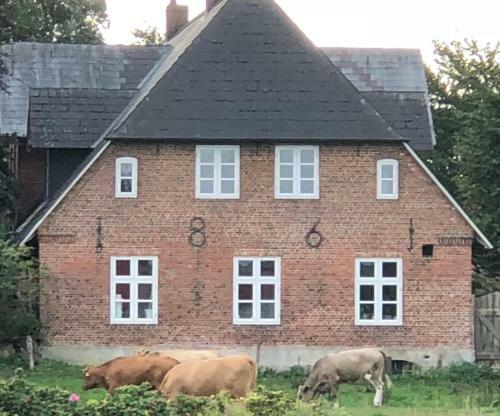 Hotel Altes Pastorat Langenhorn