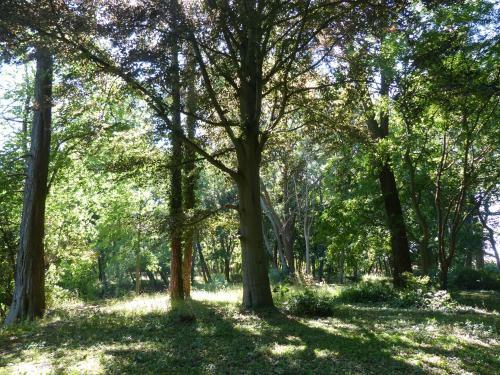 Apartamento Ferienwohnung Mit Brockenblick