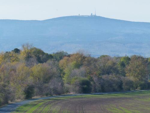 Apartamento Ferienwohnung Mit Brockenblick