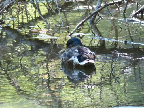 Apartamento Ferienwohnung Mit Brockenblick