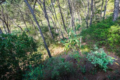 Villa Tamariu Montagut Domain