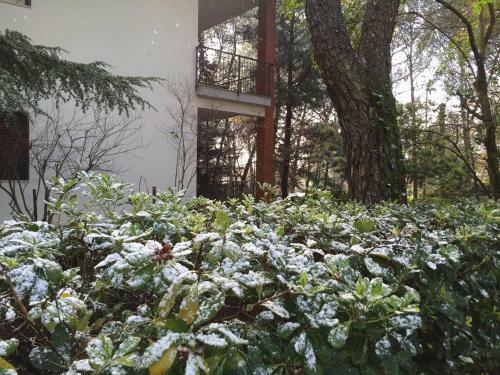 Villa Sull'etna Immersa Nel Bosco