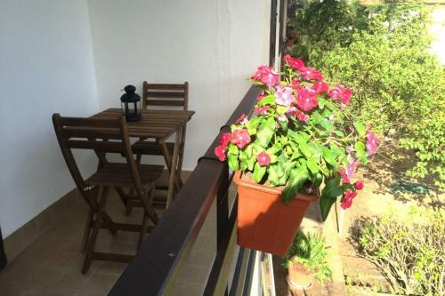Villa Etnafamilyhouse