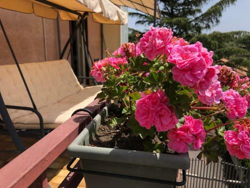 Casa Vacanze "sotto Il Vulcano"