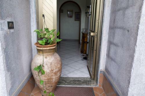 Bed & Breakfast Grotta Del Monaco