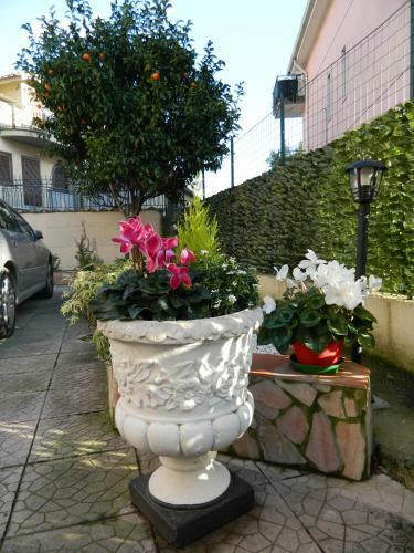 B&B San Pio