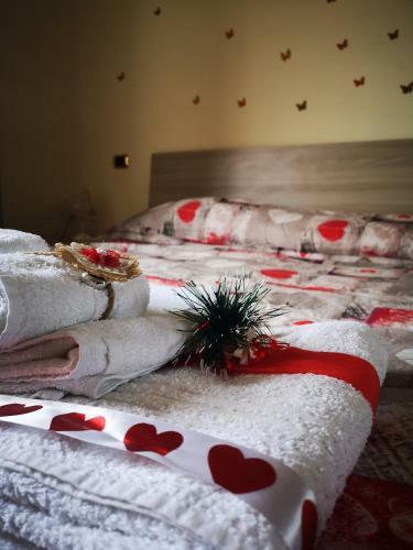 Bed & Breakfast Fiorestella