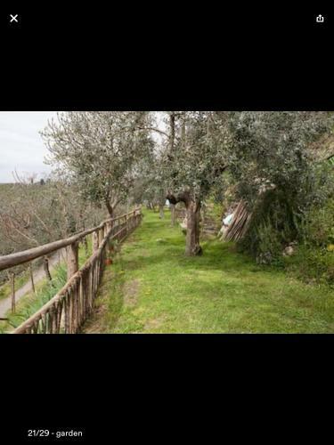 Apartamento Il Rosmarino