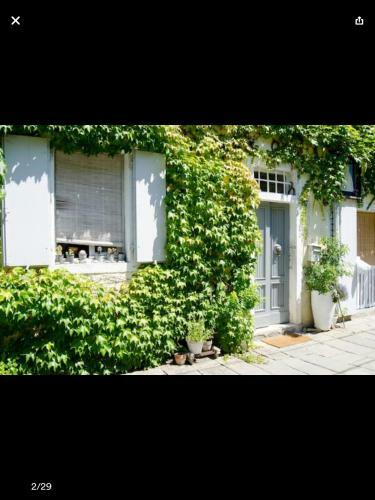 Apartamento Il Rosmarino