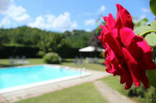 Bed & Breakfast Il Casolare