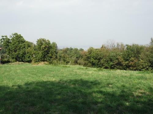 La Panoramica