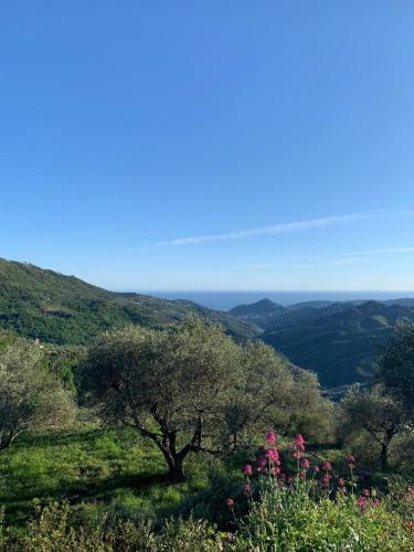 Il Piccolo Giardino