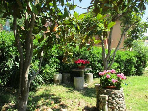 B&B Carboni