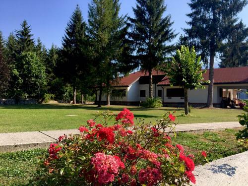 Apartamento Chalet Dell'orso