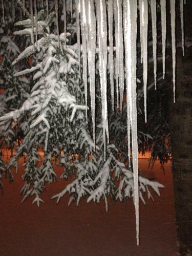 Apartamento Chalet Dell'orso