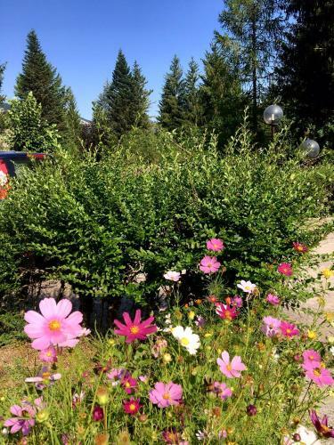 Apartamento Chalet Dell'orso