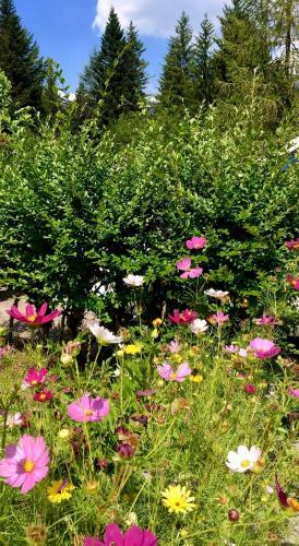 Apartamento Chalet Dell'orso