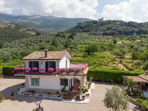Villa La Vigna Della Corte