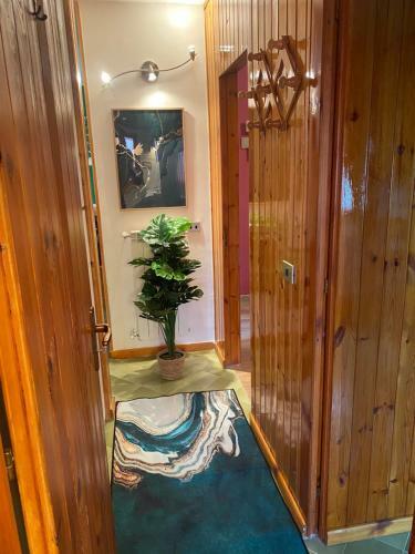 Apartamento Artemide Domus
