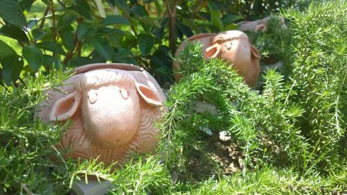 Apartamento Le Pecore Di Terracotta