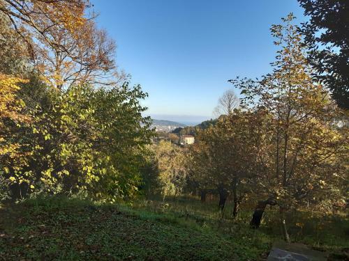 Granducato Di Monteballante