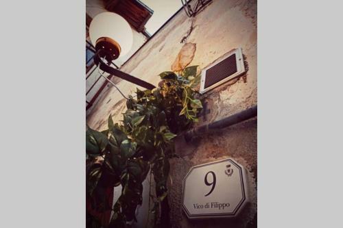 Casa Con Giardino