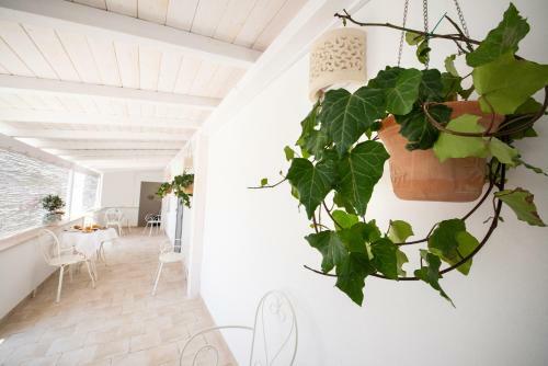 Bed & Breakfast Il Vecchio Frantoio