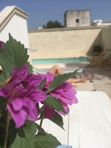 Apartamento Villa Buen Retiro