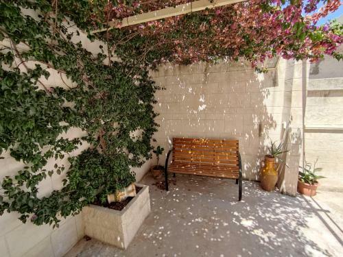 Apartamento Nonno's Nest