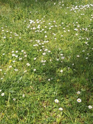 Casa Colonica Di Campagna Come Era UNA Volta