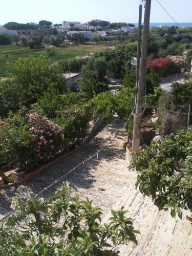Villa Rita