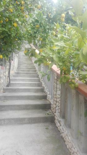 Villa Rita