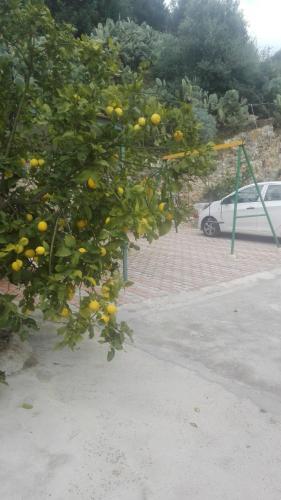 Villa Rita