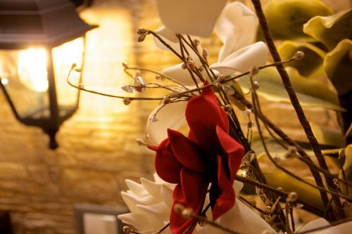Peperosa In Collina B&B