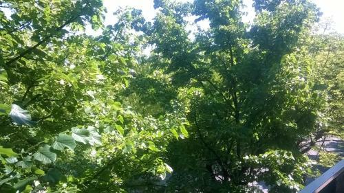 Apartamento Appartamento La Bonifica