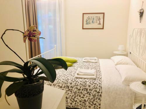 Hostal Mimi's Home Casa Vacanze