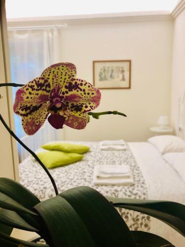 Hostal Mimi's Home Casa Vacanze