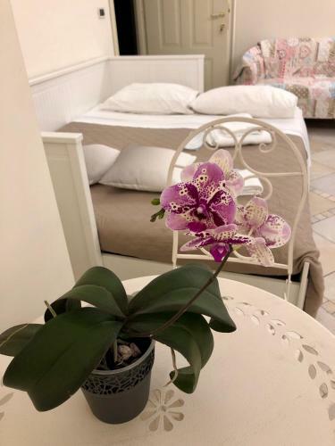 Hostal Mimi's Home Casa Vacanze