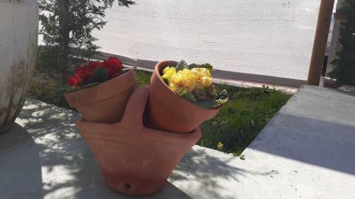Apartamento Sole E Luna