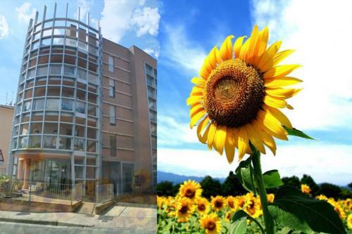 Apartamento Casa Dei Girasoli