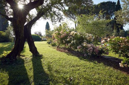 Apartamento Le Balze Appartamenti