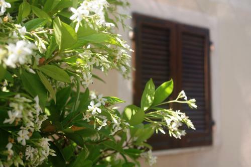 Apartamento Casetta Arco