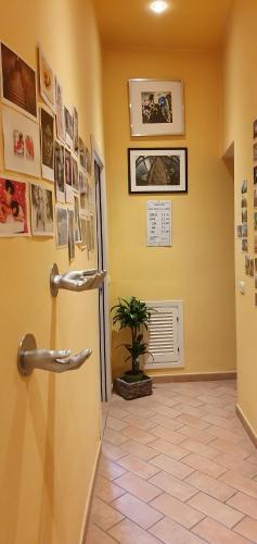 Apartamento Maison Mav�