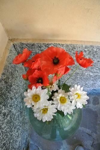 B&B La Damigiana Fio�