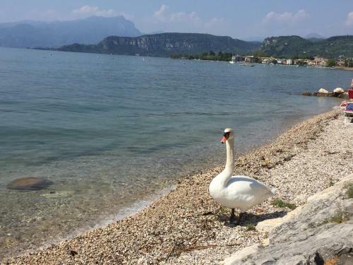 Hostal Garda Relais Luna Blu