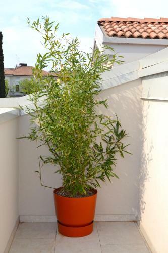 Apartamento Zen Ar Holiday-home