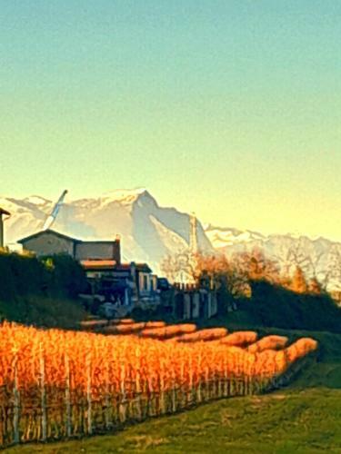 Hostal Zanina Country House